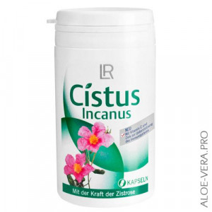 Капсулы Cistus Incanus от LR