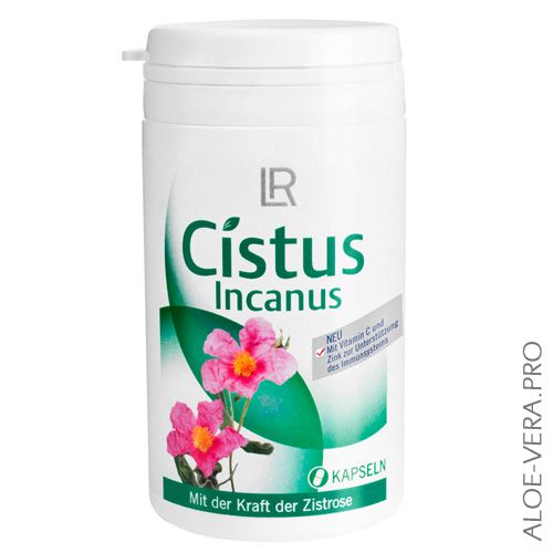 Капсулы Cistus Incanus LR